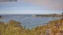 ./images/calvert/foggy-cove/20260501/foggy-cove20260501_122001M.jpg