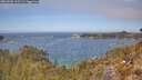 ./images/calvert/foggy-cove/20260501/foggy-cove20260501_122501M.jpg