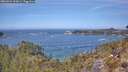 ./images/calvert/foggy-cove/20260501/foggy-cove20260501_123001M.jpg