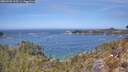 ./images/calvert/foggy-cove/20260501/foggy-cove20260501_123501M.jpg