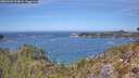 ./images/calvert/foggy-cove/20260501/foggy-cove20260501_124002M.jpg