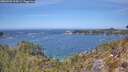 ./images/calvert/foggy-cove/20260501/foggy-cove20260501_124501M.jpg