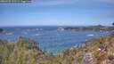 ./images/calvert/foggy-cove/20260501/foggy-cove20260501_125502M.jpg