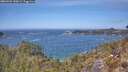 ./images/calvert/foggy-cove/20260501/foggy-cove20260501_130001M.jpg