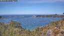 ./images/calvert/foggy-cove/20260501/foggy-cove20260501_130501M.jpg