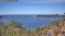 ./images/calvert/foggy-cove/20260501/foggy-cove20260501_131002M.jpg