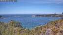 ./images/calvert/foggy-cove/20260501/foggy-cove20260501_131501M.jpg