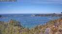 ./images/calvert/foggy-cove/20260501/foggy-cove20260501_132001M.jpg