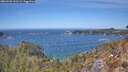 ./images/calvert/foggy-cove/20260501/foggy-cove20260501_132501M.jpg