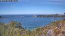 ./images/calvert/foggy-cove/20260501/foggy-cove20260501_133001M.jpg