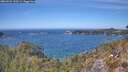 ./images/calvert/foggy-cove/20260501/foggy-cove20260501_133501M.jpg