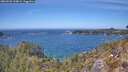./images/calvert/foggy-cove/20260501/foggy-cove20260501_134002M.jpg