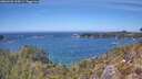 ./images/calvert/foggy-cove/20260501/foggy-cove20260501_134501M.jpg