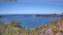 ./images/calvert/foggy-cove/20260501/foggy-cove20260501_135001M.jpg