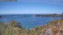 ./images/calvert/foggy-cove/20260501/foggy-cove20260501_135501M.jpg