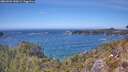 ./images/calvert/foggy-cove/20260501/foggy-cove20260501_140001M.jpg