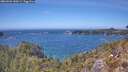 ./images/calvert/foggy-cove/20260501/foggy-cove20260501_140501M.jpg