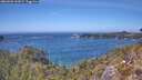 ./images/calvert/foggy-cove/20260501/foggy-cove20260501_141001M.jpg
