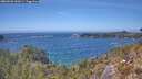 ./images/calvert/foggy-cove/20260501/foggy-cove20260501_142001M.jpg