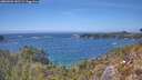./images/calvert/foggy-cove/20260501/foggy-cove20260501_142501M.jpg