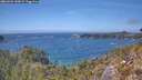 ./images/calvert/foggy-cove/20260501/foggy-cove20260501_143002M.jpg