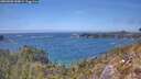 ./images/calvert/foggy-cove/20260501/foggy-cove20260501_144001M.jpg