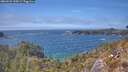 ./images/calvert/foggy-cove/20260501/foggy-cove20260501_144501M.jpg