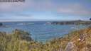 ./images/calvert/foggy-cove/20260501/foggy-cove20260501_145002M.jpg