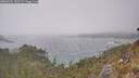 ./images/calvert/foggy-cove/20260501/foggy-cove20260501_152501M.jpg
