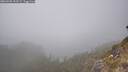 ./images/calvert/foggy-cove/20260501/foggy-cove20260501_153501M.jpg