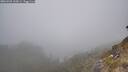 ./images/calvert/foggy-cove/20260501/foggy-cove20260501_160001M.jpg