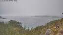 ./images/calvert/foggy-cove/20260501/foggy-cove20260501_161001M.jpg