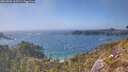 ./images/calvert/foggy-cove/20260501/foggy-cove20260501_163501M.jpg