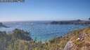 ./images/calvert/foggy-cove/20260501/foggy-cove20260501_165001M.jpg