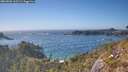 ./images/calvert/foggy-cove/20260501/foggy-cove20260501_165501M.jpg