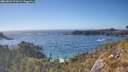 ./images/calvert/foggy-cove/20260501/foggy-cove20260501_171001M.jpg