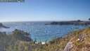 ./images/calvert/foggy-cove/20260501/foggy-cove20260501_171501M.jpg