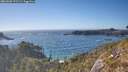 ./images/calvert/foggy-cove/20260501/foggy-cove20260501_172501M.jpg