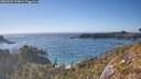 ./images/calvert/foggy-cove/20260501/foggy-cove20260501_173001M.jpg