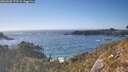 ./images/calvert/foggy-cove/20260501/foggy-cove20260501_173501M.jpg