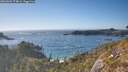 ./images/calvert/foggy-cove/20260501/foggy-cove20260501_174001M.jpg