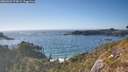 ./images/calvert/foggy-cove/20260501/foggy-cove20260501_174501M.jpg