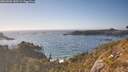 ./images/calvert/foggy-cove/20260501/foggy-cove20260501_180501M.jpg