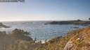 ./images/calvert/foggy-cove/20260501/foggy-cove20260501_181501M.jpg