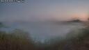 ./images/calvert/foggy-cove/20260502/foggy-cove20260502_053501M.jpg
