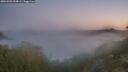 ./images/calvert/foggy-cove/20260502/foggy-cove20260502_054002M.jpg