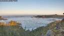 ./images/calvert/foggy-cove/20260502/foggy-cove20260502_064001M.jpg