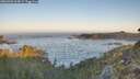 ./images/calvert/foggy-cove/20260502/foggy-cove20260502_064501M.jpg