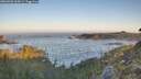 ./images/calvert/foggy-cove/20260502/foggy-cove20260502_065001M.jpg