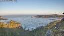 ./images/calvert/foggy-cove/20260502/foggy-cove20260502_070501M.jpg